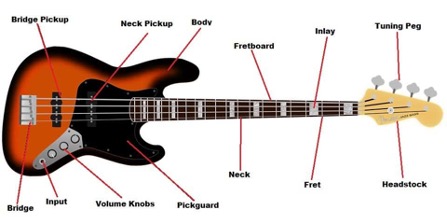 Diagram of a bass guitar with labelled parts